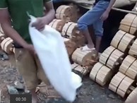Video cận cảnh xông lưu huỳnh, tẩm thuốc tẩy lông chân để sản xuất đũa ăn một lần giá rẻ